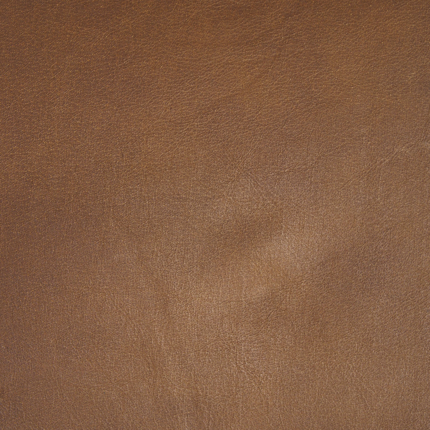 Taniel Brown Leather w/ Black Metal Stool