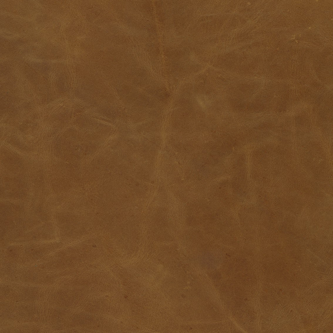 Hollyfield I Brown Leather Seat Gold Iron Frame Dining Chair