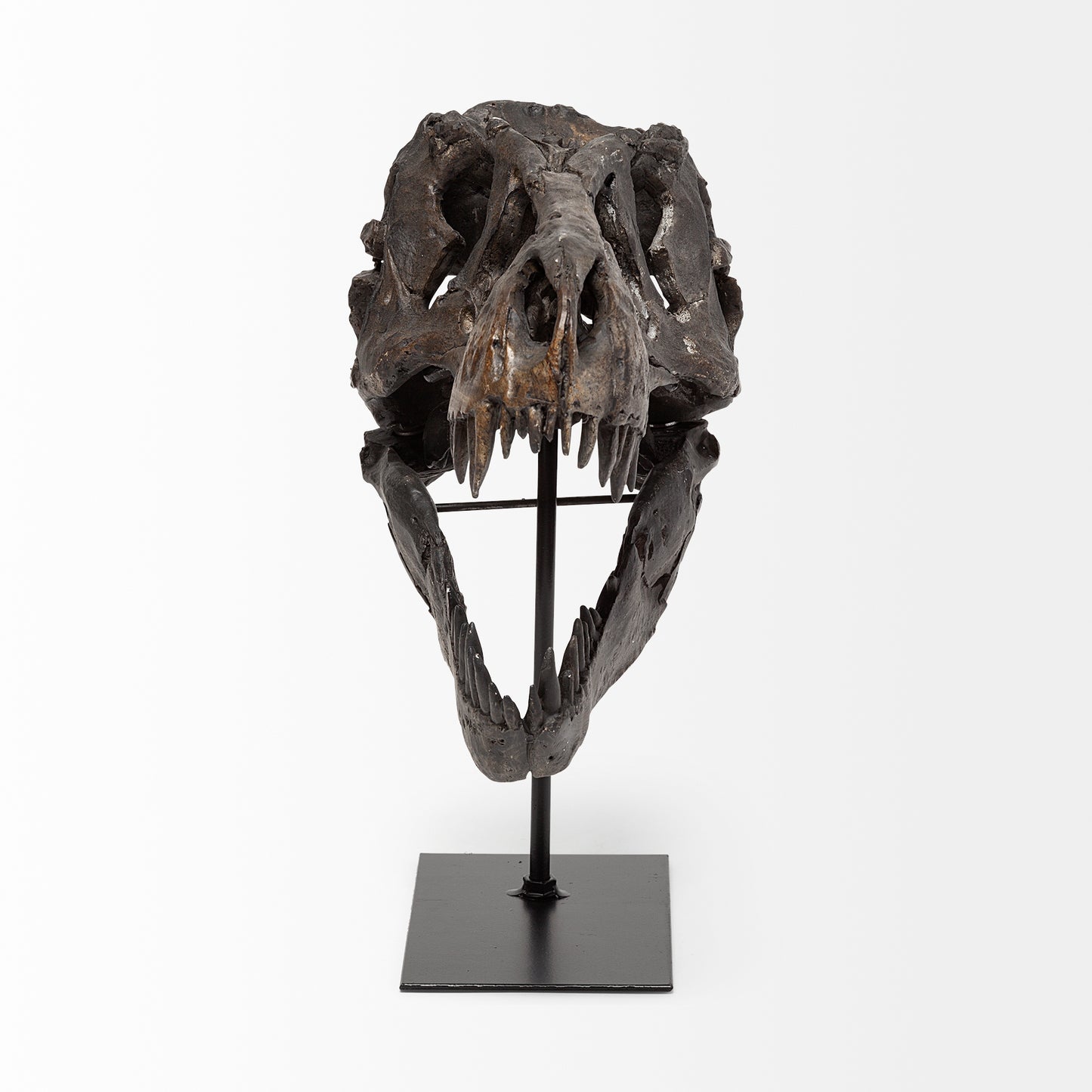 Jurassic 6L x 10W Brown Resin Tyrannosaurus Skull Replica
