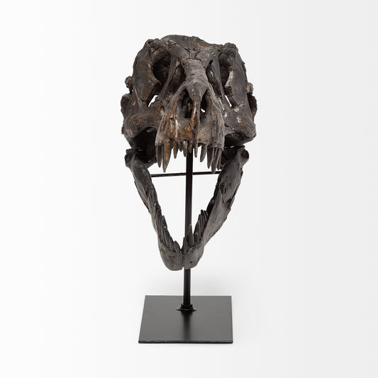 Jurassic 6L x 10W Brown Resin Tyrannosaurus Skull Replica
