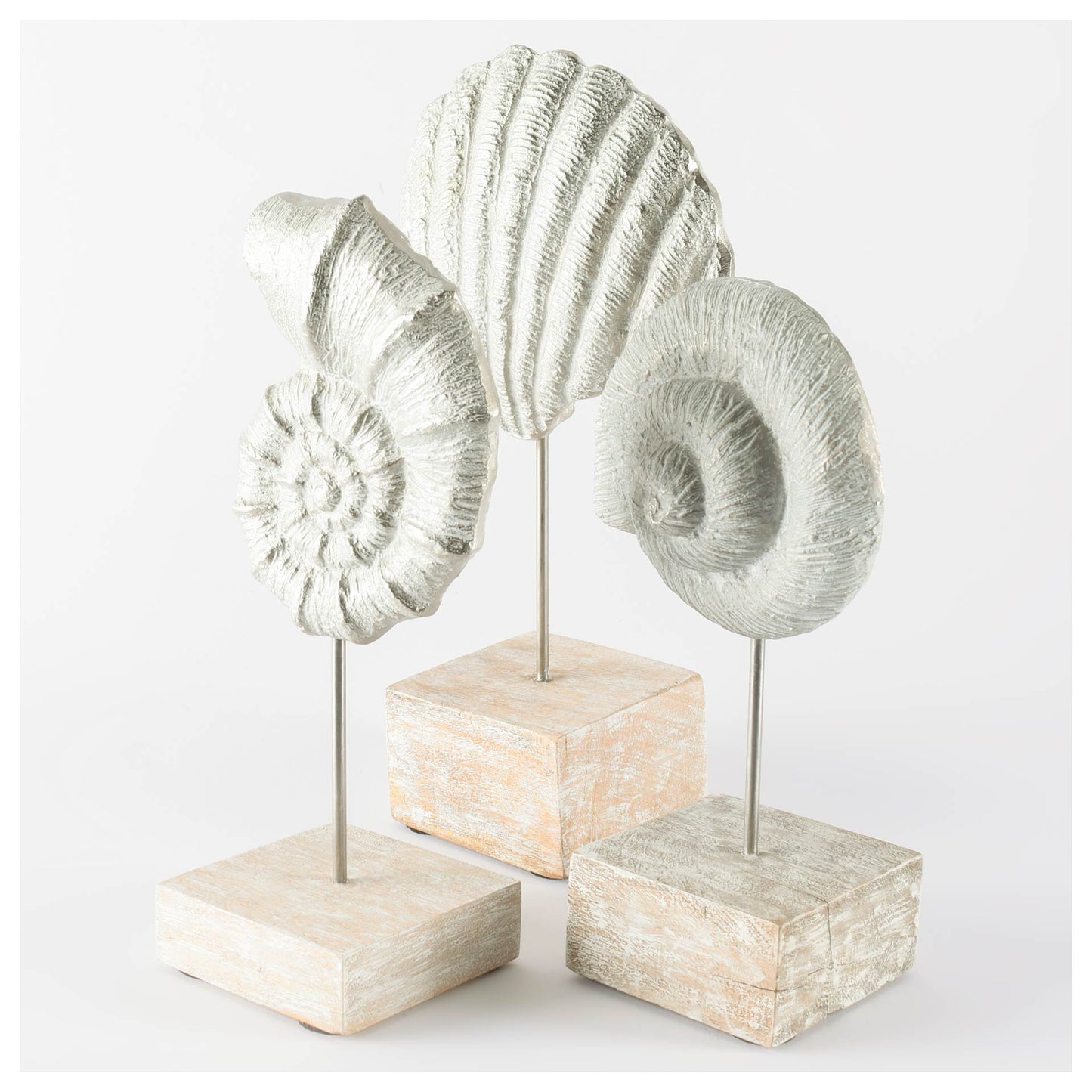 Cockle 5L x 4W White Coastal Iron Sea Shell