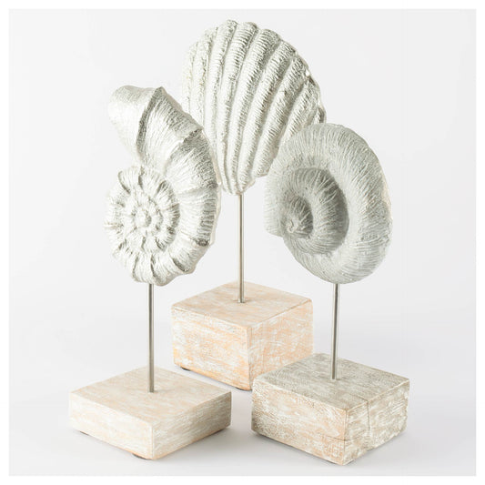 Cockle 5L x 4W White Coastal Iron Sea Shell