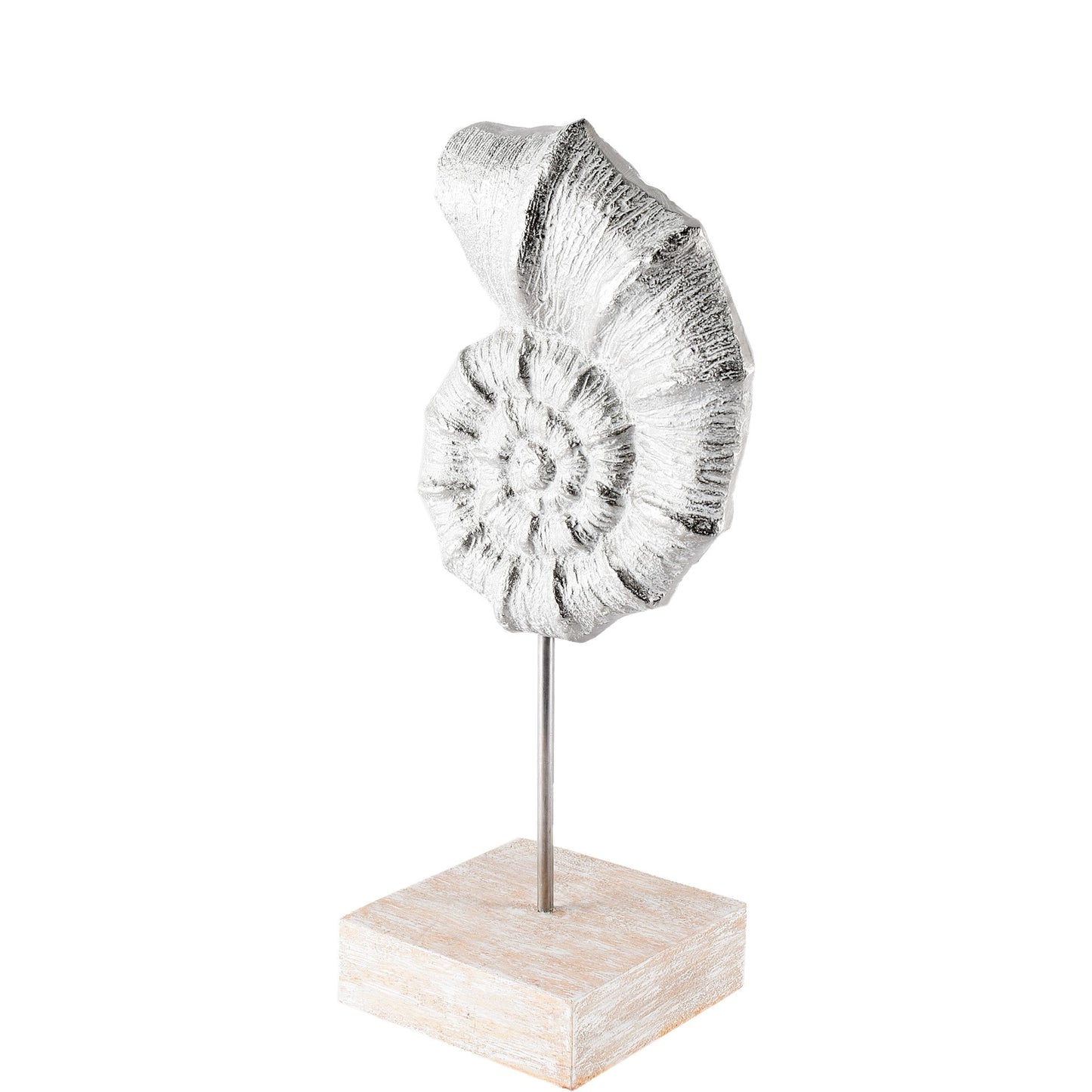 Cockle 5L x 4W White Coastal Iron Sea Shell