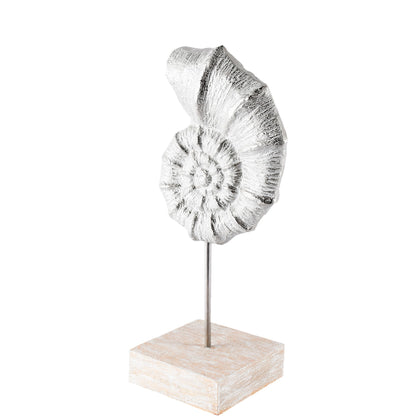 Cockle 5L x 4W White Coastal Iron Sea Shell