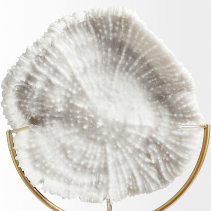 Sandy I (Small) 6L x 3W White Coastal Sand Dollar Object