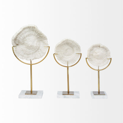 Sandy I (Small) 6L x 3W White Coastal Sand Dollar Object