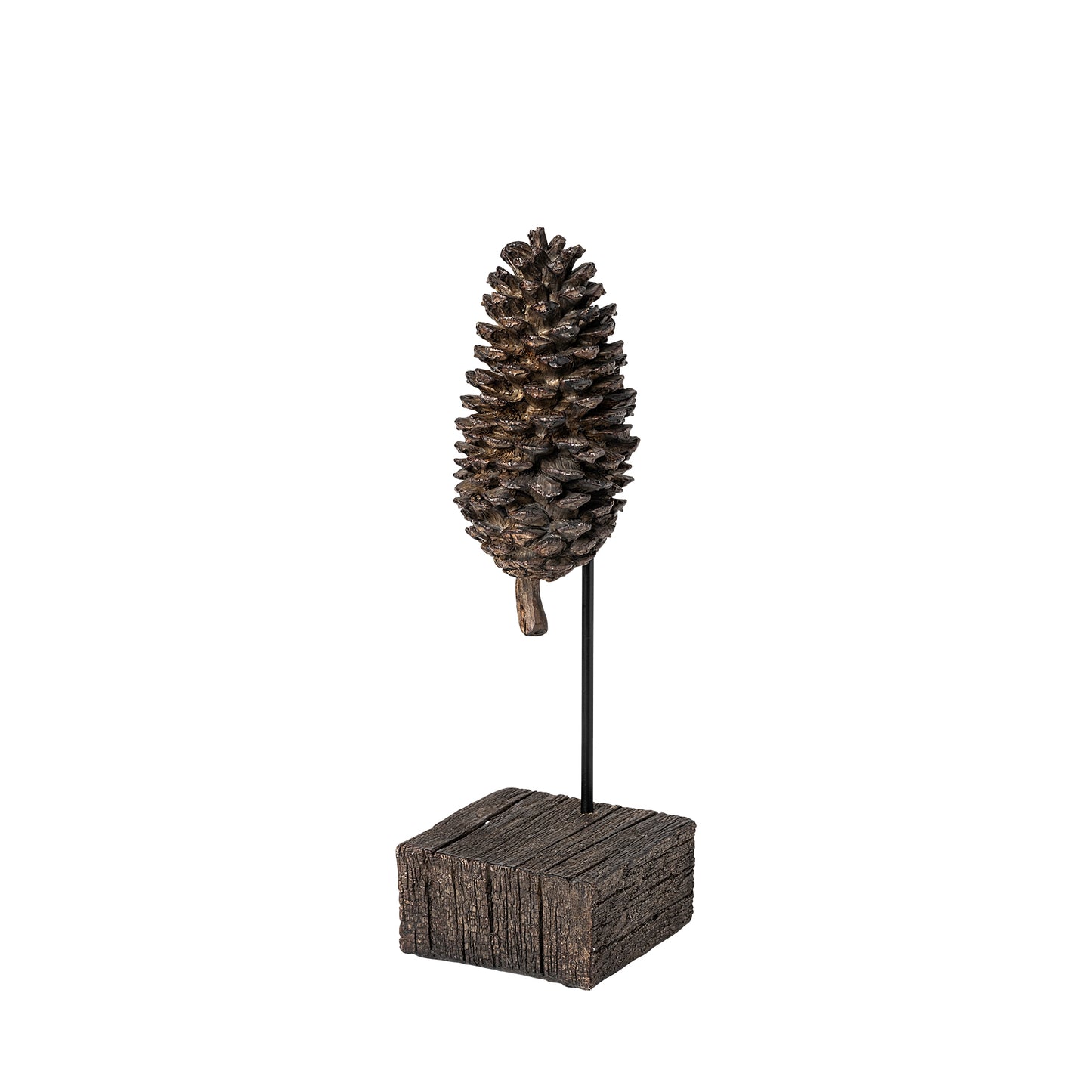 Pinterra (Small) 4L x 4W Brown Resin Pinecone Replica