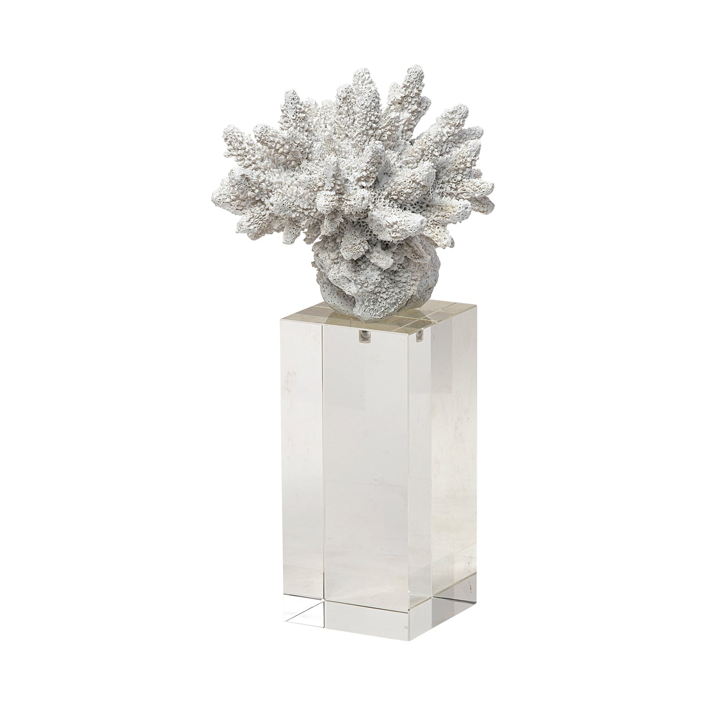 Isla (Large) 5L x 5W White Replica Resin Coral On Clear White Glass