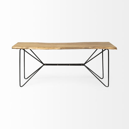 Papillion I 66L x 16W Blonde Wood and Iron Console Table