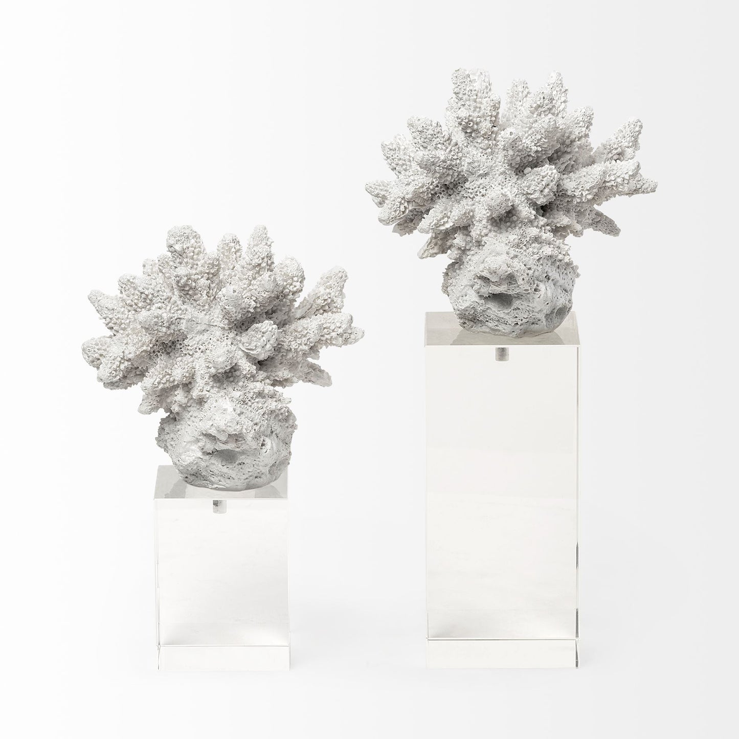 Isla (Large) 5L x 5W White Replica Resin Coral On Clear White Glass