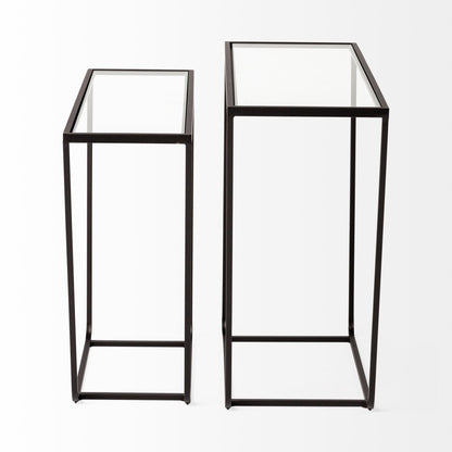 Arya (Set of 2) 24L x 10W Black Rectangular Glass Top Iron Frame Accent Table
