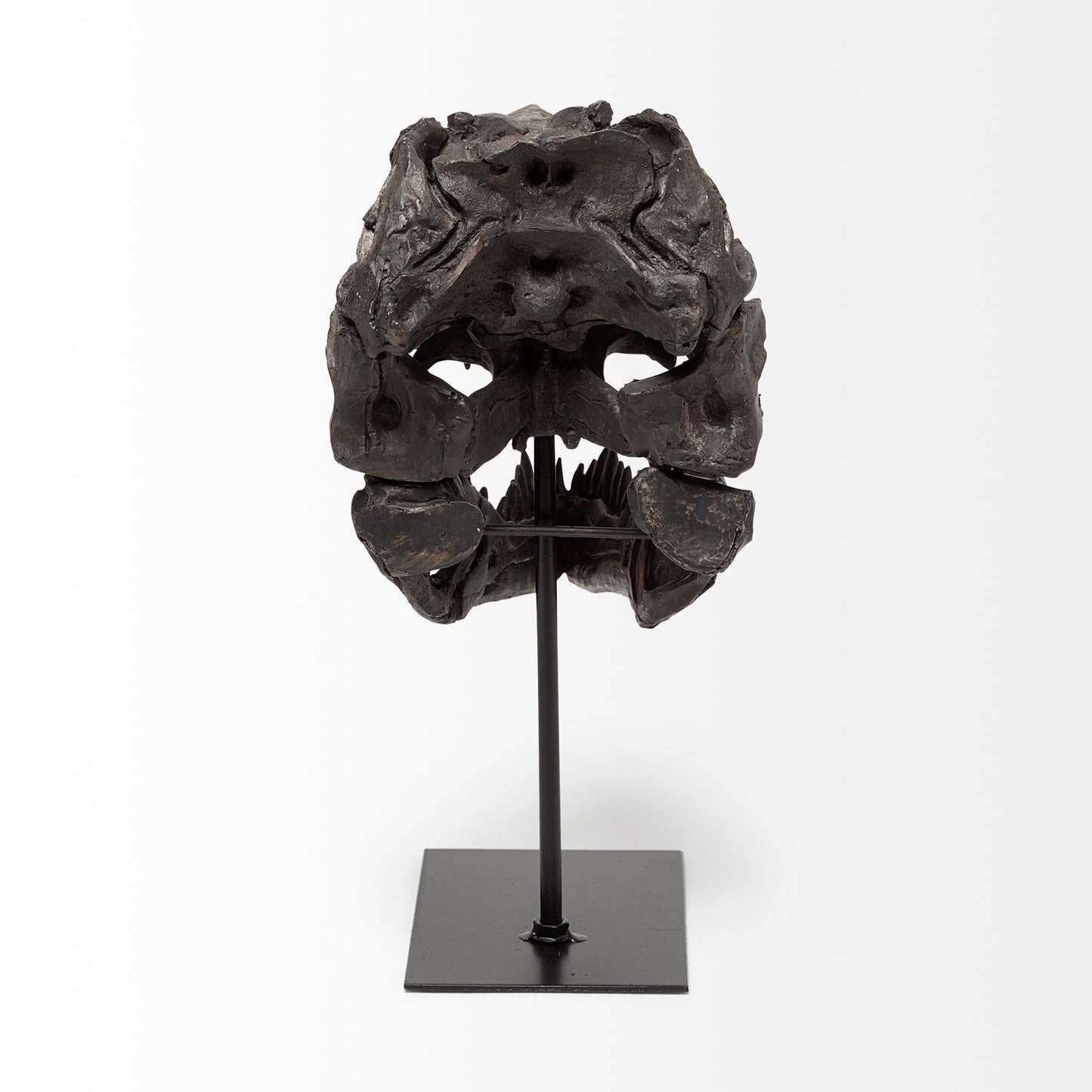 Jurassic 6L x 10W Brown Resin Tyrannosaurus Skull Replica