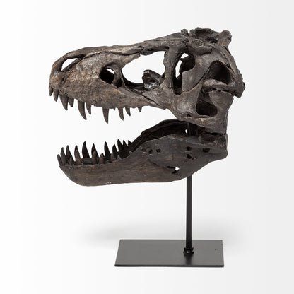 Jurassic 6L x 10W Brown Resin Tyrannosaurus Skull Replica