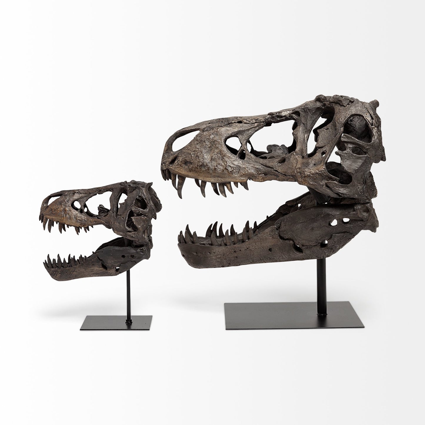 Jurassic 6L x 10W Brown Resin Tyrannosaurus Skull Replica