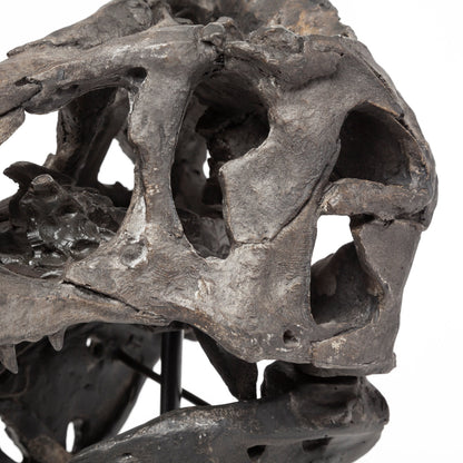 Jurassic 6L x 10W Brown Resin Tyrannosaurus Skull Replica