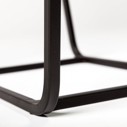 Arya (Set of 2) 24L x 10W Black Rectangular Glass Top Iron Frame Accent Table