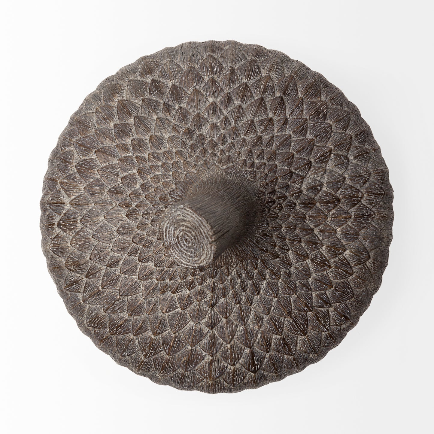 Mandor I (Small) 6L x 6W Brown Resin Acorn Box