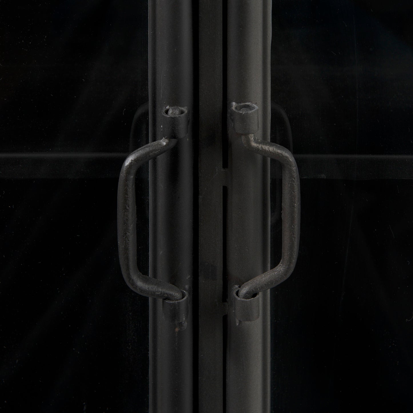 Poppy III 40L x 16W Black Metal With Glass Door Accent Cabinet