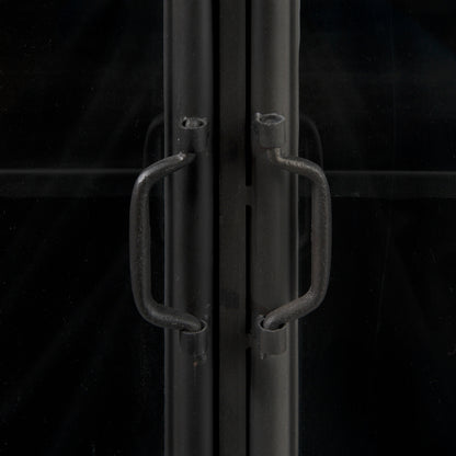 Poppy III 40L x 16W Black Metal With Glass Door Accent Cabinet