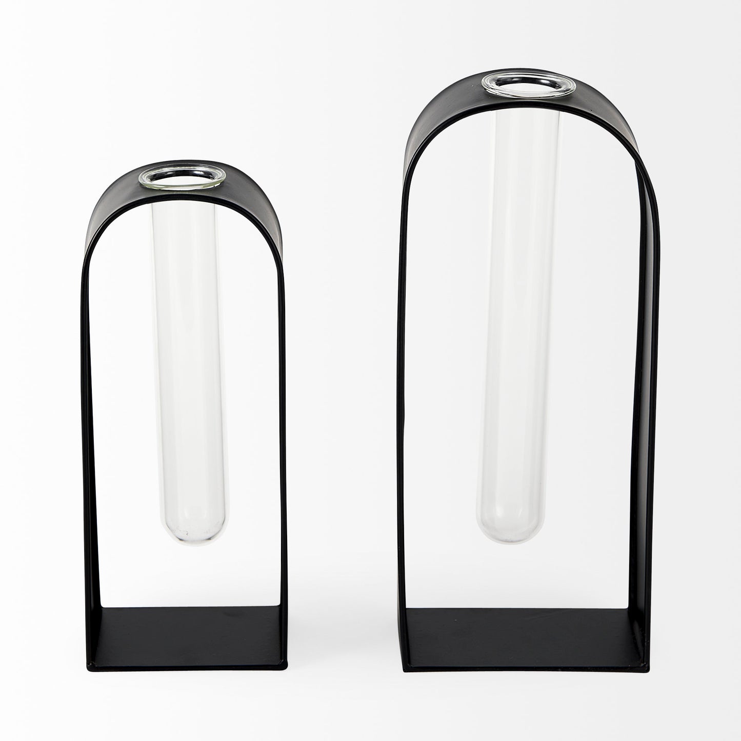 Boyer 5.1L x 3.0W x 12.0H Black Metal W/Glass Set of Two Test Tube Decorative Objects