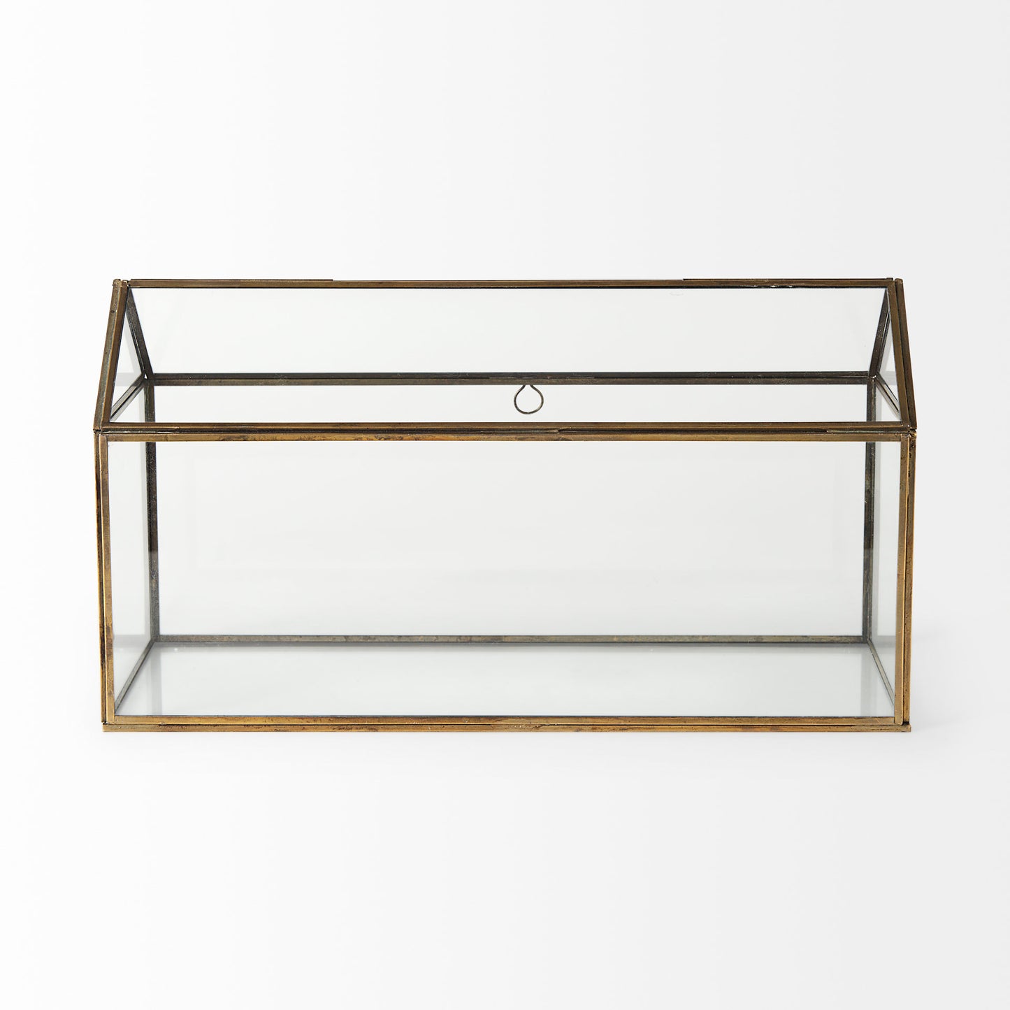 Hutt 16L x 6W x 9H Gold Glass Terrarium Box