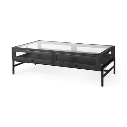 Arelius 42"L Rectangular Glass-Top Black-Brown Wood w/ Black Metal Base Display Coffee Table