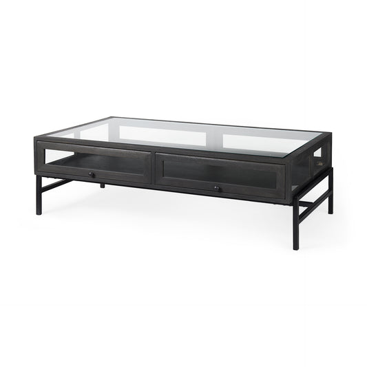 Arelius 42"L Rectangular Glass-Top Black-Brown Wood w/ Black Metal Base Display Coffee Table