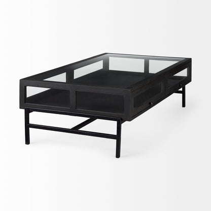 Arelius 42"L Rectangular Glass-Top Black-Brown Wood w/ Black Metal Base Display Coffee Table