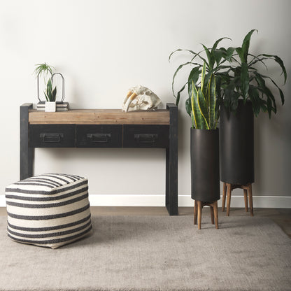 Fozzil 9L x 9W Resin Sabretooth Skull Replica