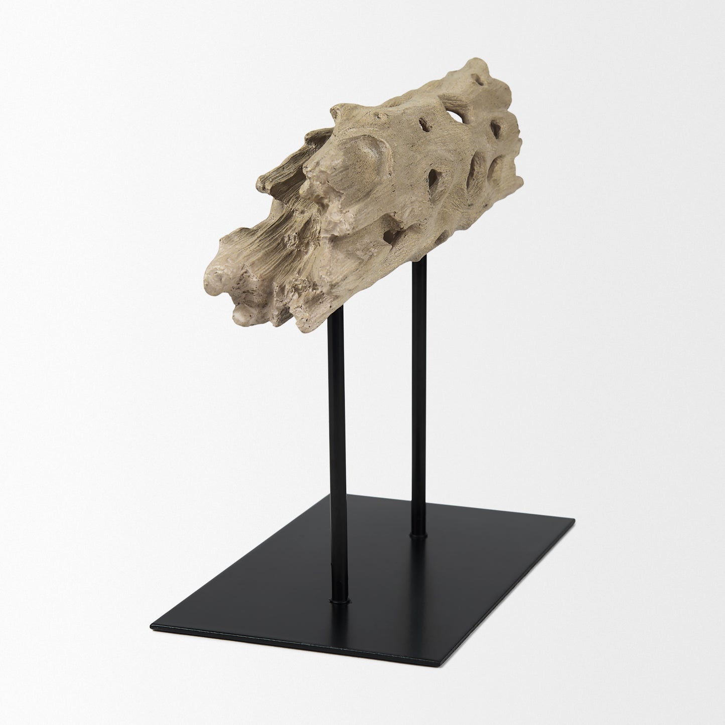 Dwell Cholla Wood Resin Decorative Object