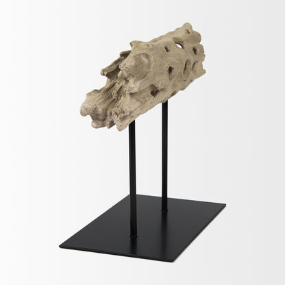 Dwell Cholla Wood Resin Decorative Object