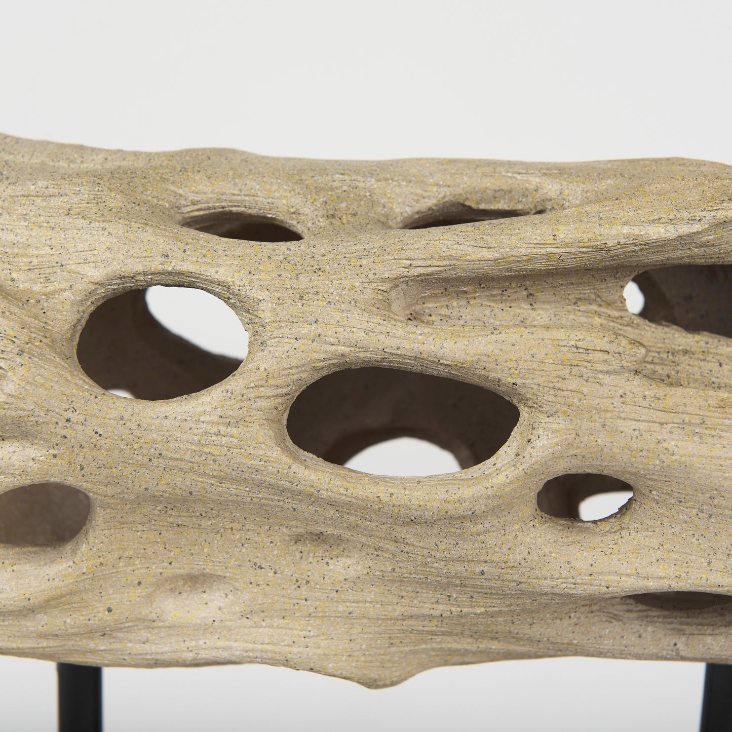 Dwell Cholla Wood Resin Decorative Object