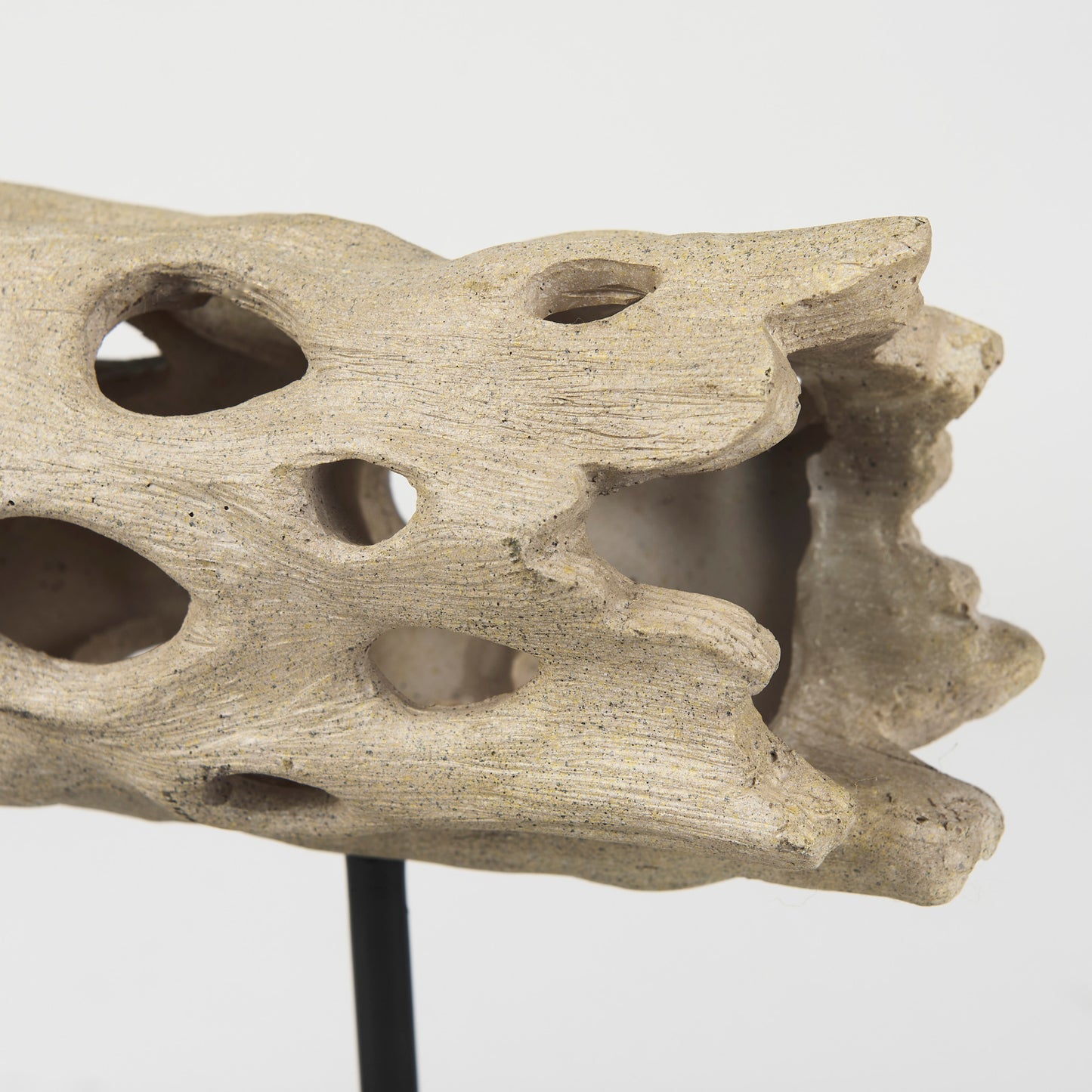 Dwell Cholla Wood Resin Decorative Object