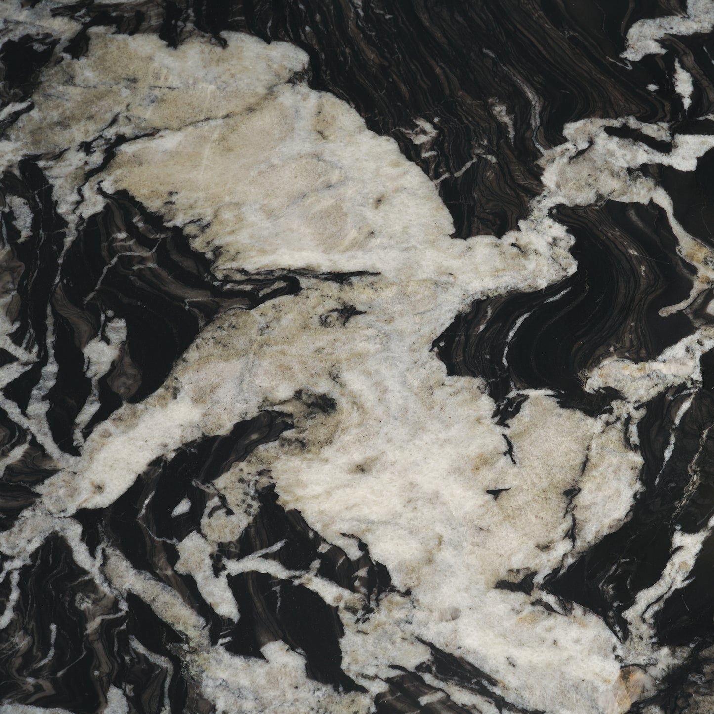 Marilyn Black Forest Marble Black Wood Pedestal Round Dining Table