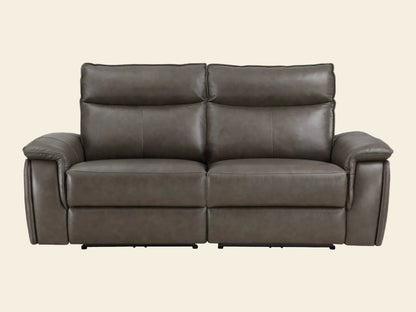Arken Power Top Grain Sofa and Loveseat