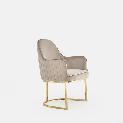 Andria Titanium Gold Premium Dining Chair
