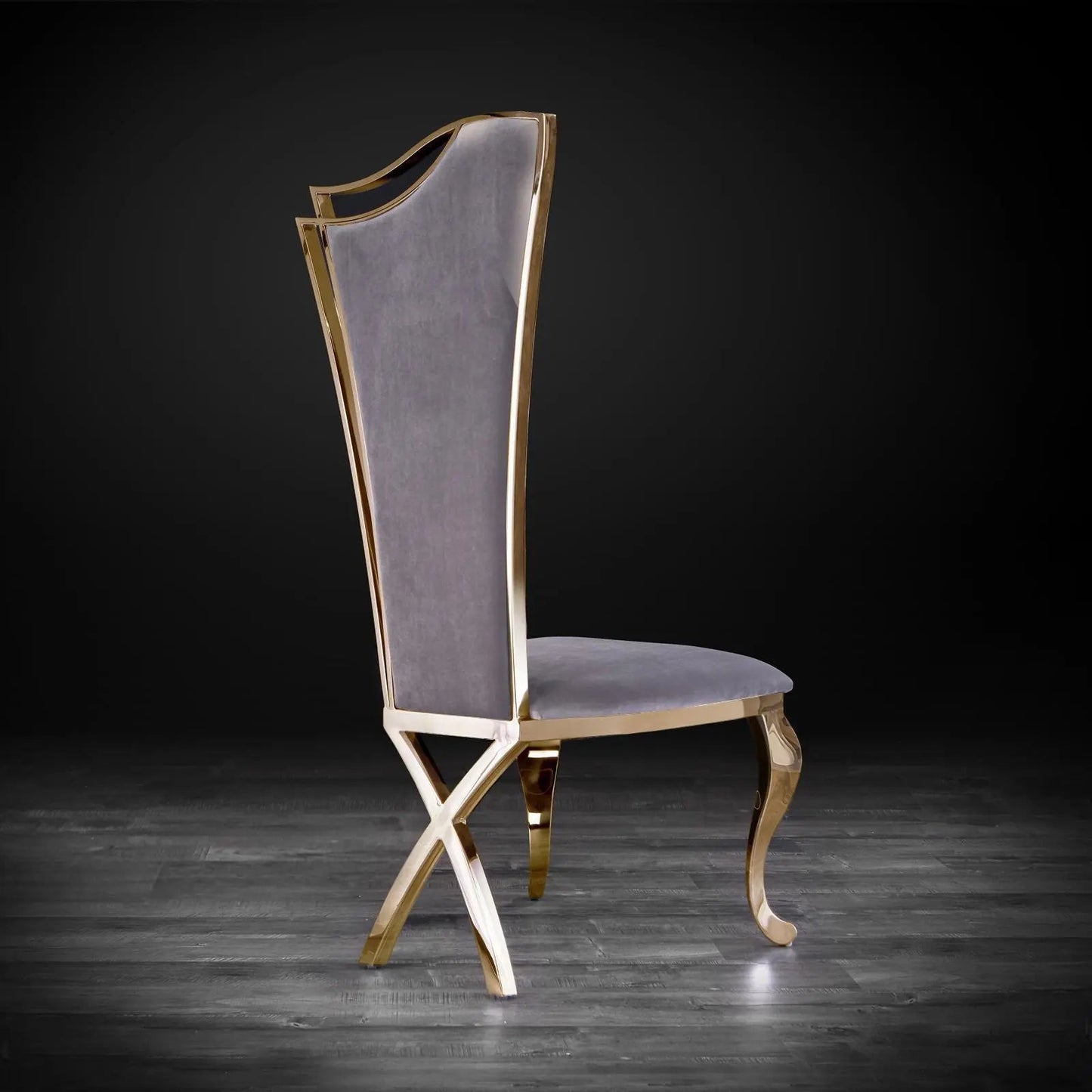 Belladonna Titanium Gold Modern Dining Chair