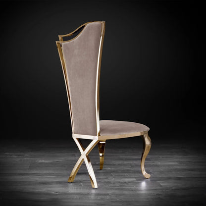 Belladonna Titanium Gold Modern Dining Chair
