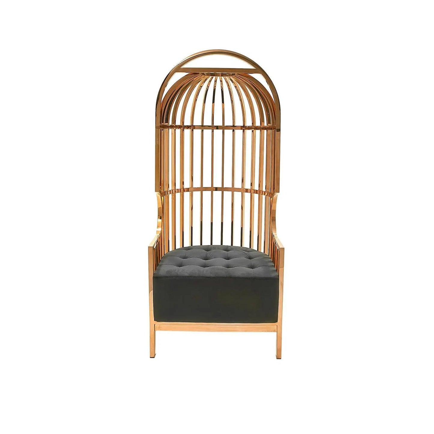 Cage Black Arm Chair | Titanium Gold Structure