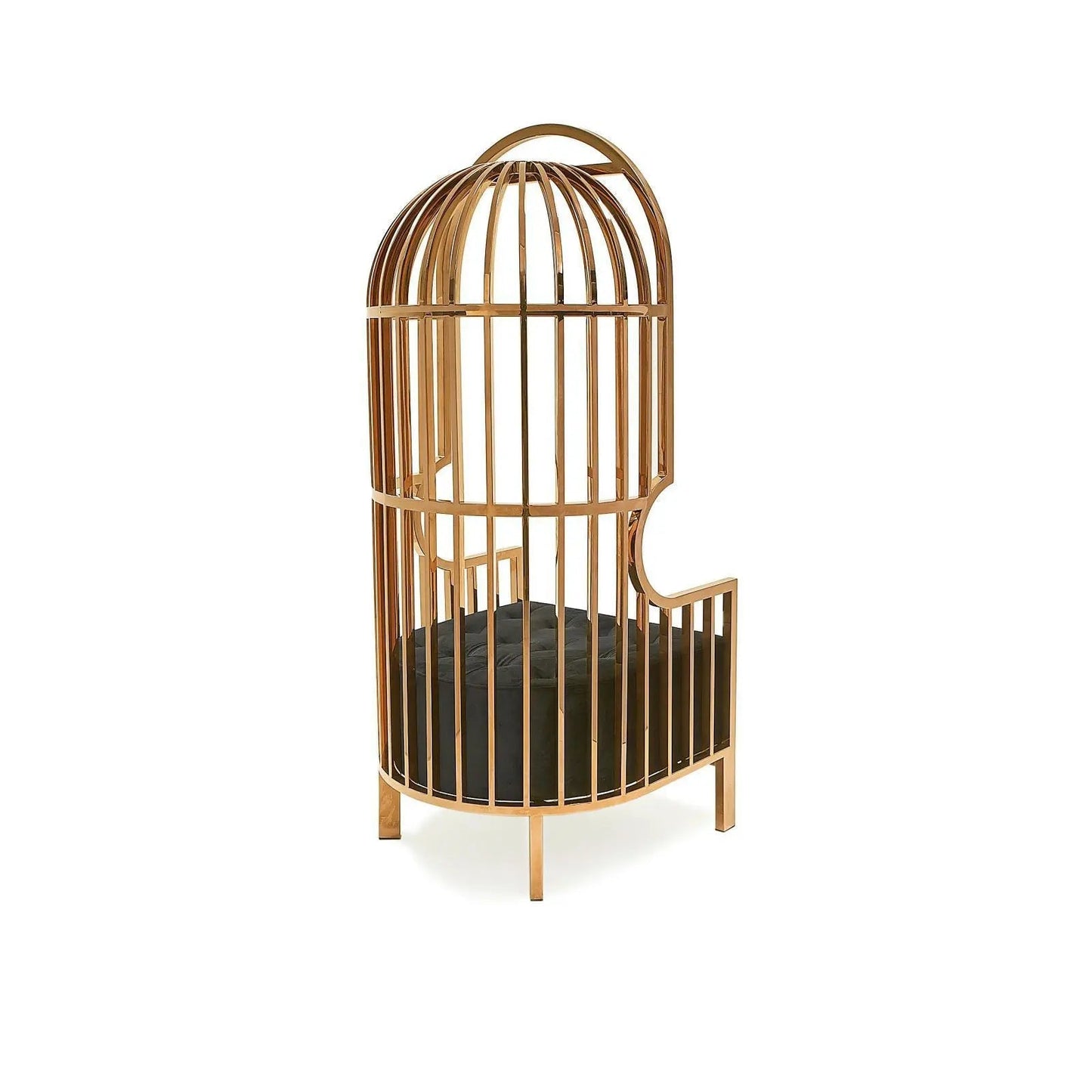 Cage Black Arm Chair | Titanium Gold Structure