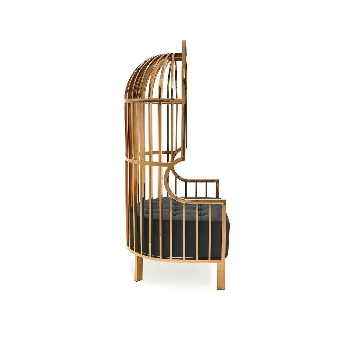 Cage Black Arm Chair | Titanium Gold Structure