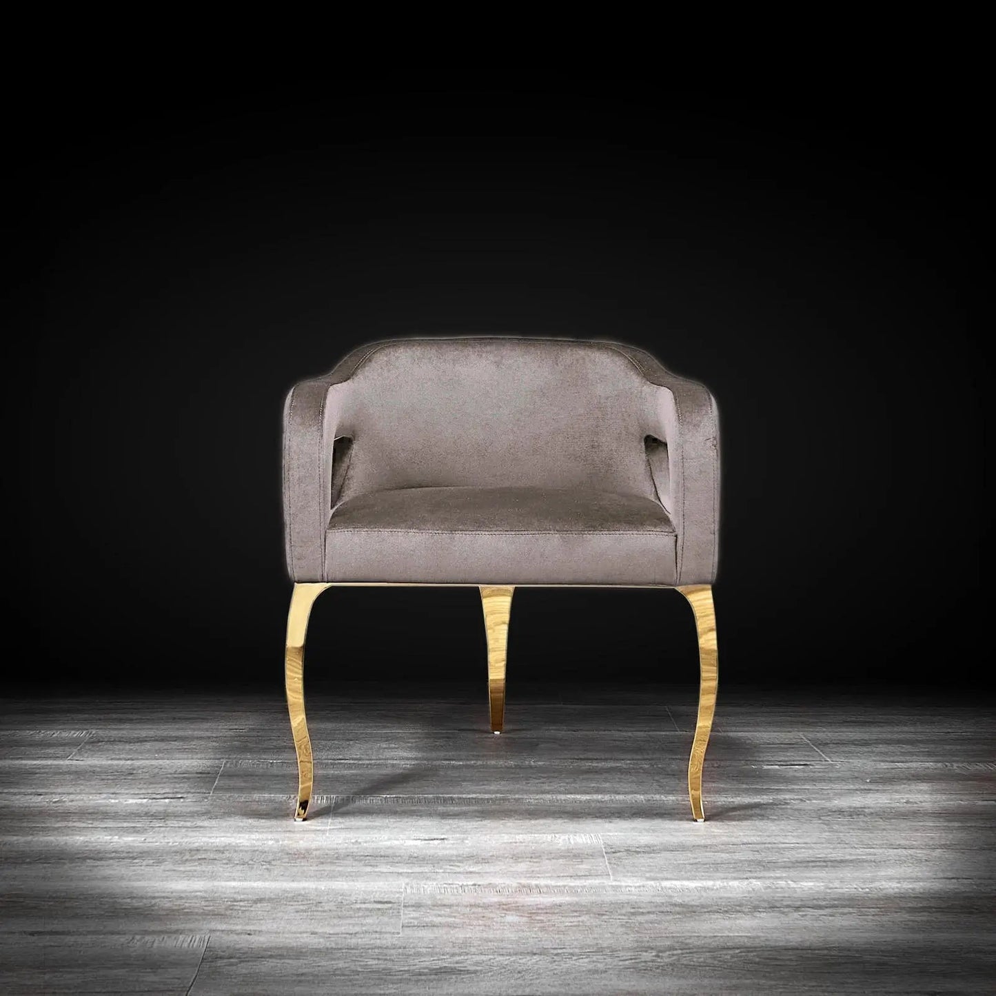 Caprice Titanium Gold Modern Dining Chair