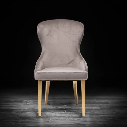 Modena Titanium Gold Elegant Dining Chair